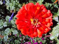 photos 2000-200902724